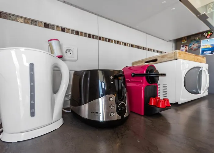 Le Thalassa - Spacious - Sea View - Ac - Parking - Pool 昂蒂布